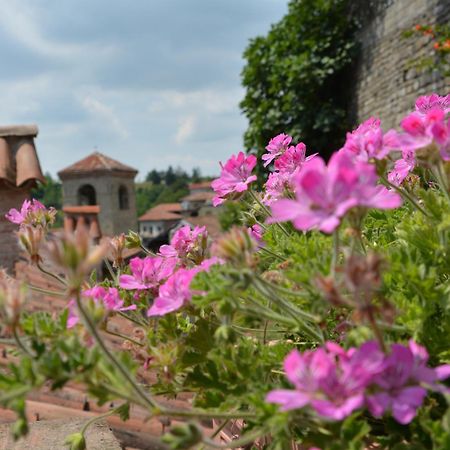 Dimora Storico Romantica Il Sole E La Luna Cerretto Langhe ภายนอก รูปภาพ