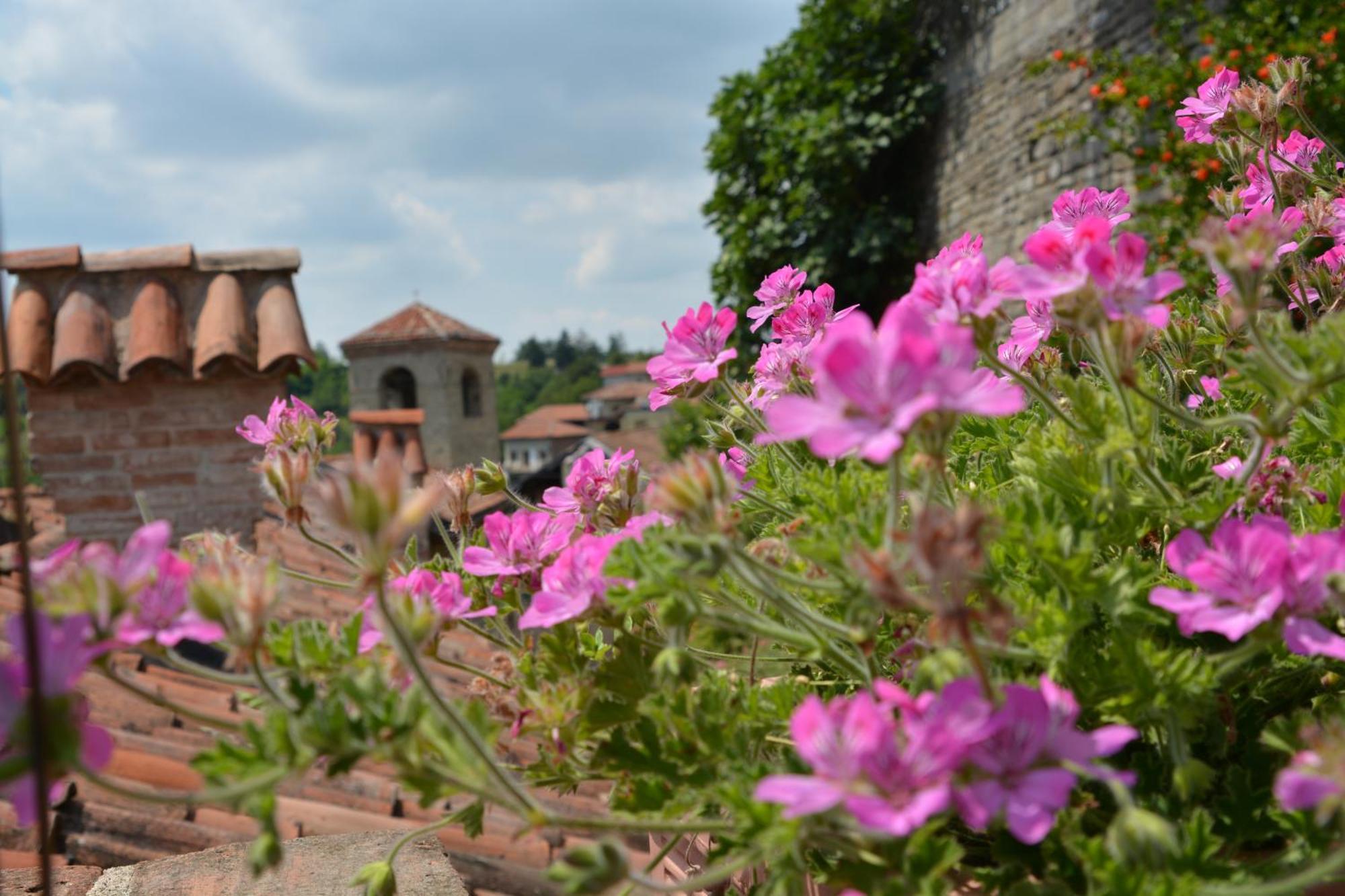 Dimora Storico Romantica Il Sole E La Luna Cerretto Langhe ภายนอก รูปภาพ